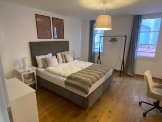 Special TOP LUX 22 Apartment, Altstadt Kleinbasel 10-STAR - 8