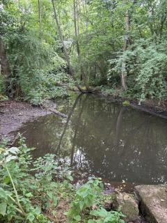 Little Vine Cottage in the grounds of Leeds Castle - 2