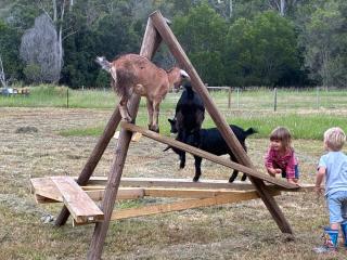 Bee Farm Off-Grid Tiny Home Stay - 6
