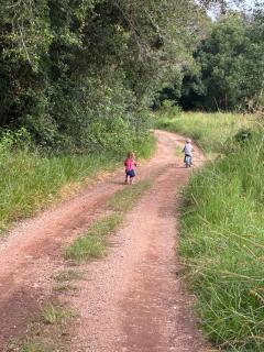 Bee Farm Off-Grid Tiny Home Stay - 4