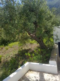 Cugnimuzzo - 6