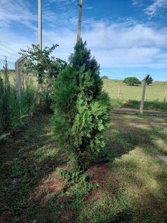 Estância arco iris - 6