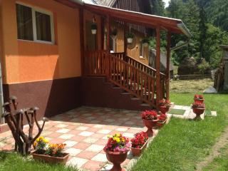 Moara Lui Ivan - Hănăşeşti - 1
