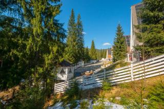 Freeman-4a АПАРТАМЕНТ 4місний з кухнею, терасою, грилем - на увесь перший поверх котеджу - 8