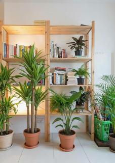 Apartment 15 min walk to Beach Center St Julians - 7