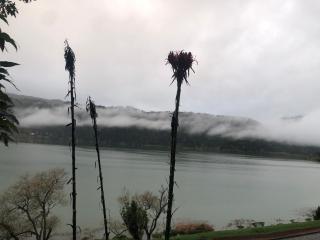 Furnas Lake Cottage - 1