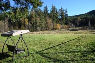 Forest Retreat on the River in Fall Creek - 9