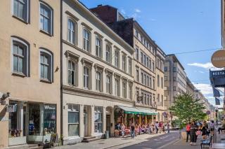 Super cosy appartment in Oslo city center - 5
