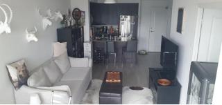 Trendy Queen West Area FIFA rental - 7