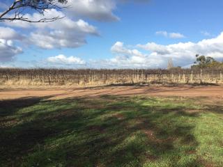 Self Contained Cabin - 7