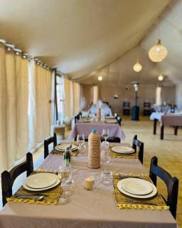 Sahara Pearl Camp - 6