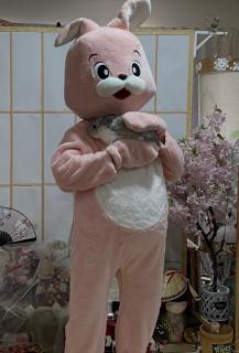 Ryokan AI Japan Friend - Free Breakfast, Hotsprings & Massage - 9