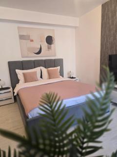 Sofia Residence-Otopeni Airport & Therme- Libertatii Gardens-Self Check-in - Otopeni - 8