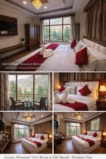 Hotel oscar Mountain Retreat Near To Old Manali Luxury Room With Mountain & Orchid View Luxury Rooms with Best View !!!!!!! - 6