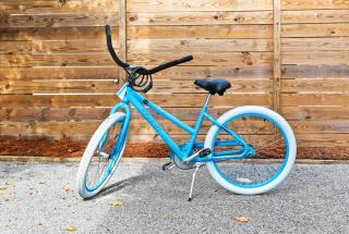 Serenity - Inlet Beach - 5