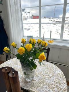 Cozy vacation home by the sea on Andøya - 5