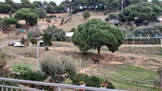 Terrazas del Mar, Levante - 9