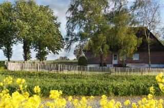 Landhaus mit Kamin, eingezäuntem Garten und Gutshofsauna! - 9