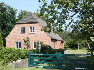 Ferienhaus Drelsdorfer Forst - 0