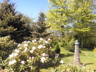 Ferienhaus Drelsdorfer Forst - 5