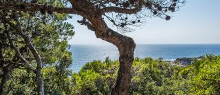 Villa Loncello by Toscana-Bella - 1
