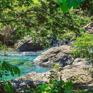 Portland Riverside Retreat - Port Antonio - 4