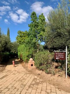 Palmeraie with Fiber Optic Swimming Pools and Terrace - 6