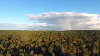 Millygite Cosy Loft - 2