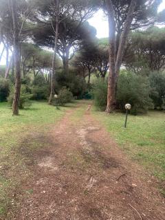 Appartamento in pineta Il Grillo - 7
