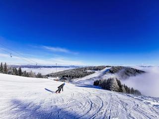 Apartment Urban & Florian-3 by Interhome - 9