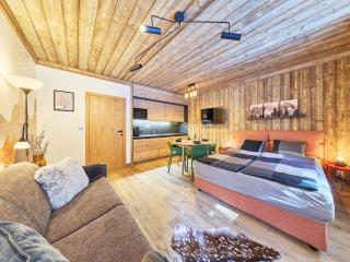Studio Harrachov Resident C by Interhome - 8