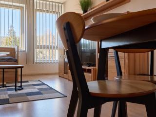 Apartment Harrachov Resident A by Interhome - 1