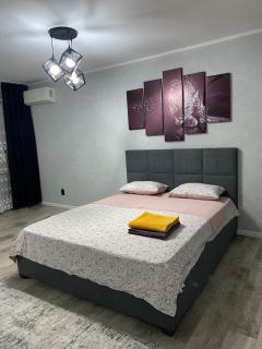 Апартаменты чистые по городу - Öskemen - 1