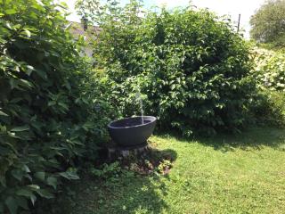 Ferienwohnungen Familie Ripper - 7