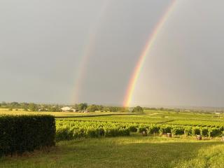 Domaine de la Noiseraie - 1