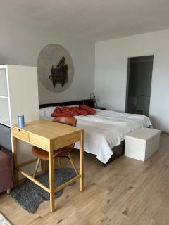 Pavla's Cozy Apartment - scaffolding in front of the balcony until autumn - 6