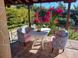 The Bougainvillea villa - 9