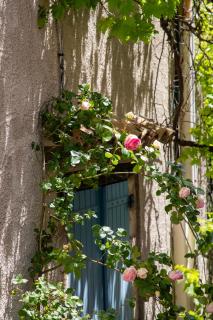 LE PETIT CHATEAU Mons - 2