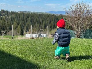 Domek Tatry - Stacja Wierchowa 972 m - 4