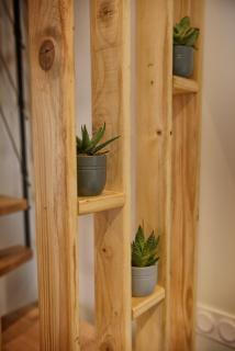 Fleur des Vents - 1