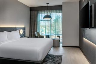AC Hotel by Marriott Saratoga Springs - 4