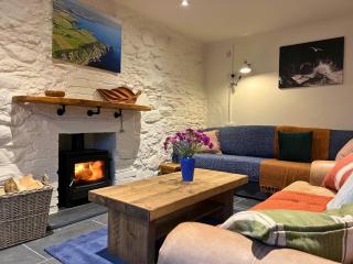 Penbwchdy Cottage, Preseli Venture - 5