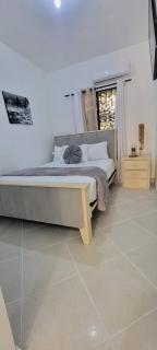 Cozy Apartment Rental in Puerto Plata, Dominican Republic - 2