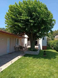 Galini Home 2 - 6