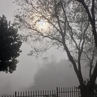 Bush Baby B&B Sabie Self-catering - 8