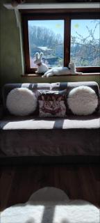 Chambre cosy - 5