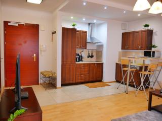 Designer 1BR Luxury Retreat, Atelier Residence, Walk to Palace of Culture - 7