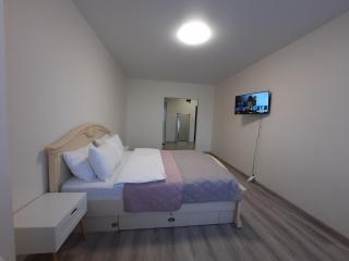 Однокімнатна квартира, встановлена зарядна станція ЕкоФло EcoFlow - 9