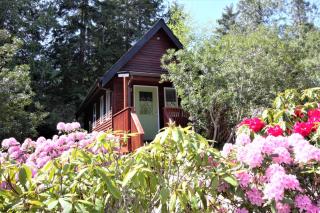 Great Cabin In Close To Walking Trails And Beaches - 13T - 7