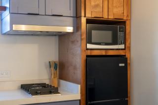 New Downtown Apt for 2, 5 min to the Beach and DT, WIF and AC - 4
